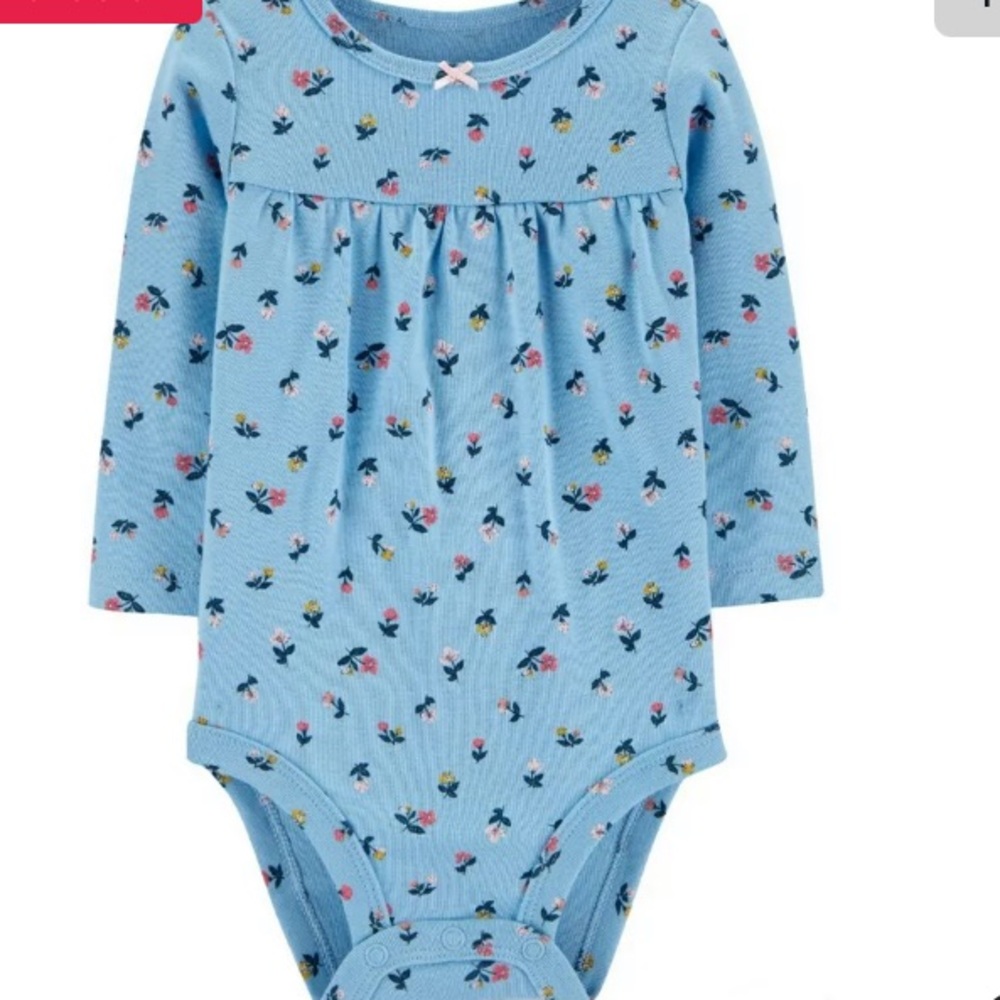 Carter’s Baby Blue Floral Long Sleeve Onesies